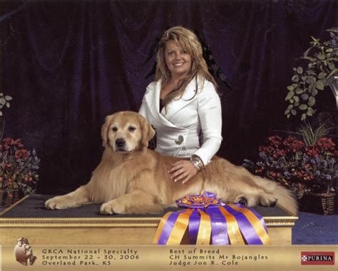 summit golden retrievers of wisconsin. summit golden retrievers of wisconsin ï»¿Protect Your Gold Retriever From Hip Dysplasia Stylish dysplasia is caused by bad formation from the hip important joints, which is a common expanding illness with more youthful dogs of almost each and every breed. With larger breeds, unsteady stylish joints …